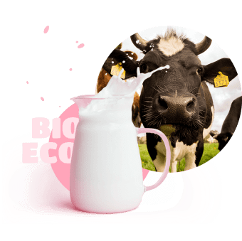 Cow and milk